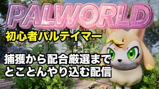 【PALWORLD:初心者】限界配信！最強パル育成計画