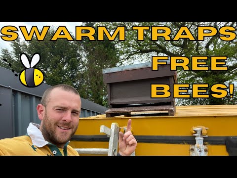 Catching Swarms the easy way. The Swarm Trap / Bait Hive!