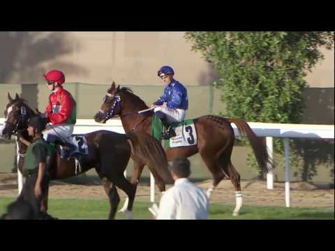 Races - Abu Dhabi (13 Nov 2016)
