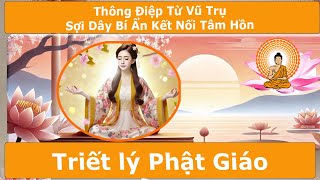 Lời Phật Dạy về Thông Điệp Từ Vũ Trụ Sợi Dây Bí Ẩn Kết Nối Tâm Hồn