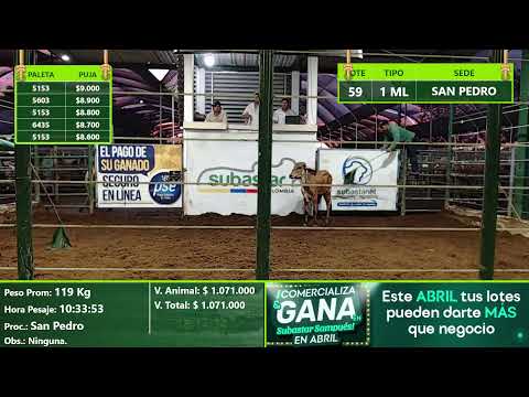 Subasta Virtual - Presencial San Pedro (E)15 22/04/2026