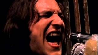 Eugenio Finardi - Musica Ribelle- Live Parco Lambro 1976