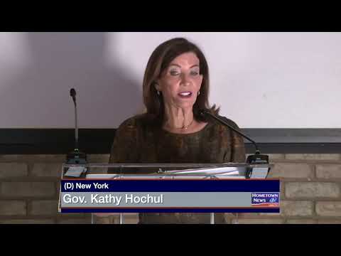 NY Gun Safety Laws
