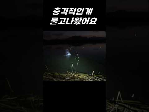 테스트 테스트