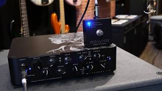 Video thumbnail for Strings Quick Demo :Darkglass Electronics Microtubes 900-Limited Edition "Medusa" by Strings Shop