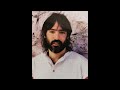 Chuck Brodsky  -  3rd Dead Cat