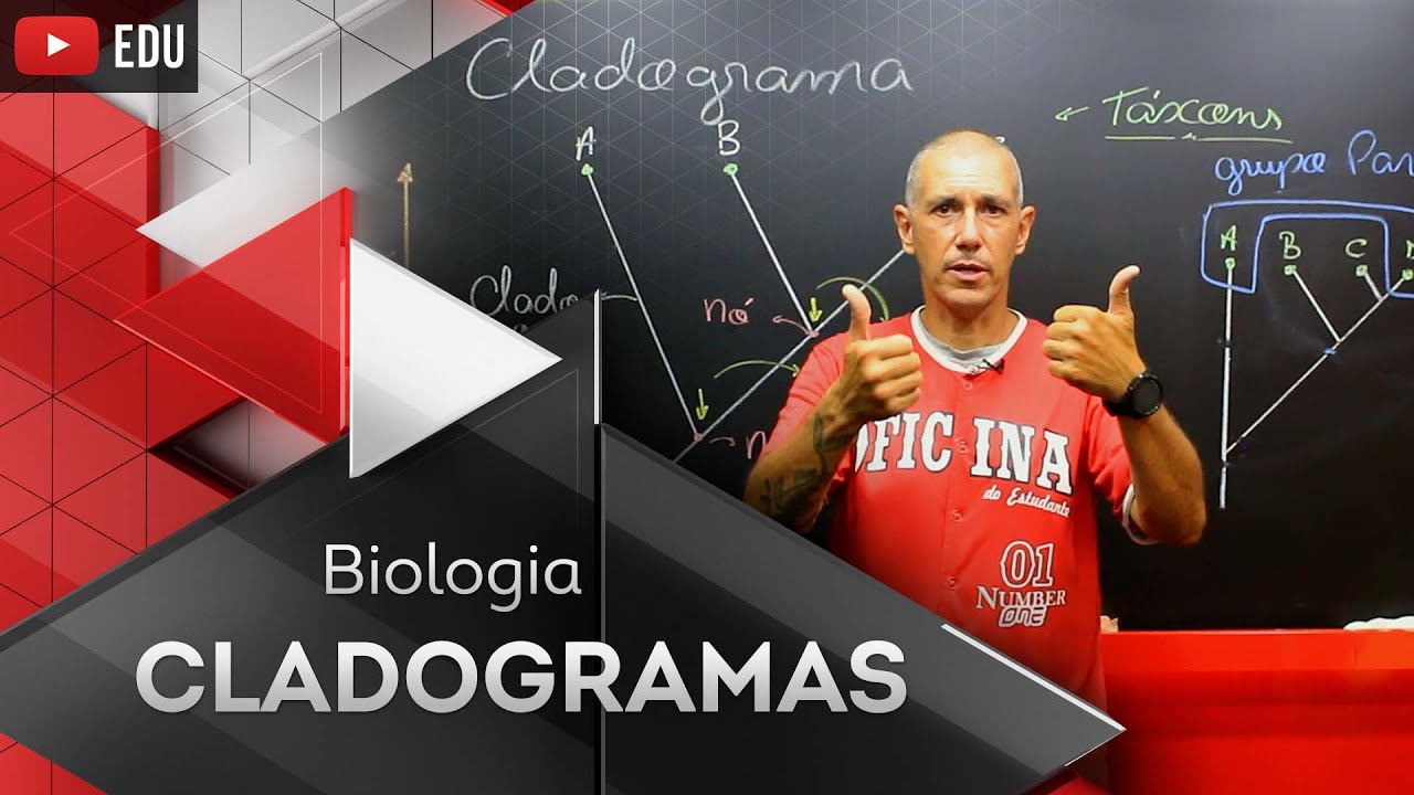Cladogramas