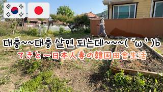 【日韓夫婦】韓国人夫の悩みとテキト〜家庭菜園/한국인 남편의 고민과 대충대충 해보는 텃밭