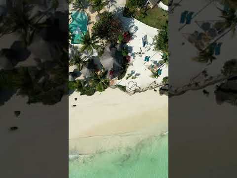 Aya Beach Resort - Zanzibar 🌴 #shorts #short #shortvideo #shortsvideo