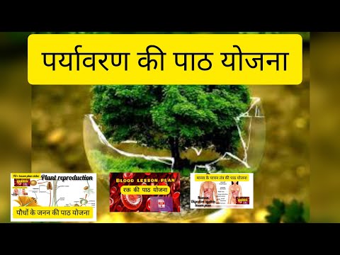 Environment lesson plan class 6/7/8 ! पर्यावरण की पाठ योजना #lessonplan #edit