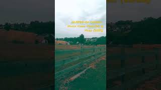 Moi, Alizée - C&#39;est drop tard (live) - Musik Video: Magister Q Video (2022)