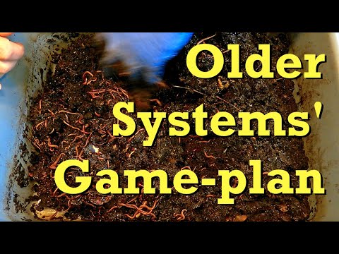 Updated game plan for 'older' red wiggler bins - worm farm vermicomposting