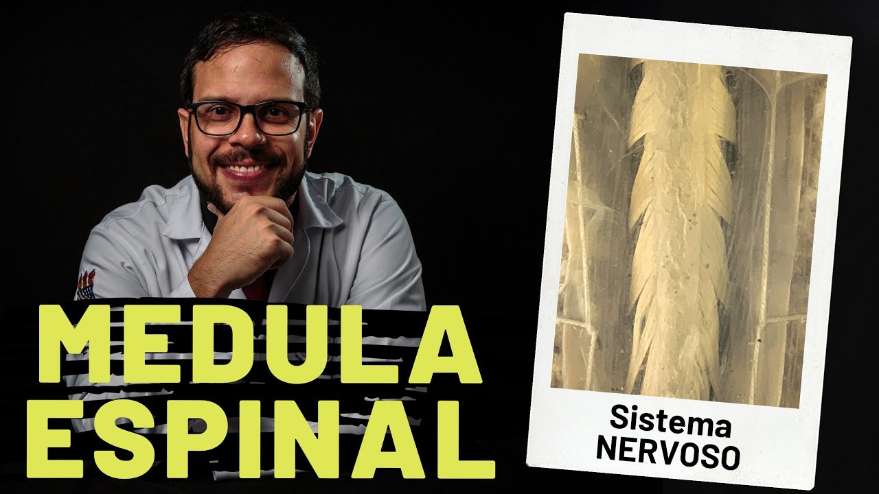 SISTEMA NERVOSO: MEDULA ESPINAL - AULA PRÁTICA COM PROF. ANDRÉ OLIVEIRA