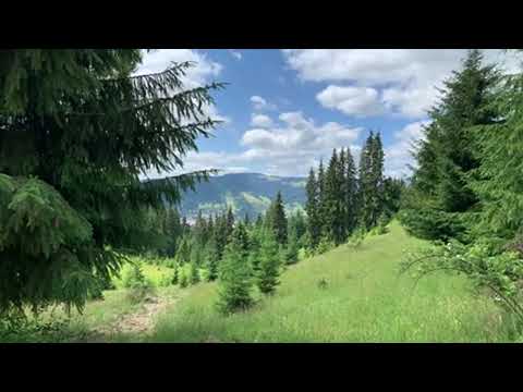 Traseu Via Transilvanica Vatra Dornei #mountains #drumetie #nature