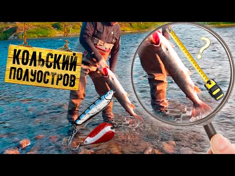 Рыбалка на Кольском полуострове Сёмга!