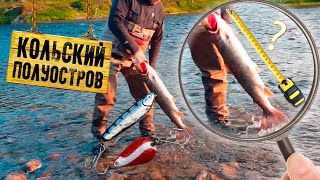 Ссылка