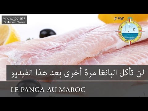 download lagu mp3 mp4 Poisson Panga Au Maroc, download lagu Poisson Panga Au Maroc gratis, unduh video klip Poisson Panga Au Maroc