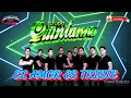EL AMOR ES TRISTE GRUPO QUINTANNA TEMA 100 LIMPIA 2022