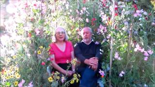 Sue Graves and Hector Gilchrist - The Briar and The Rose