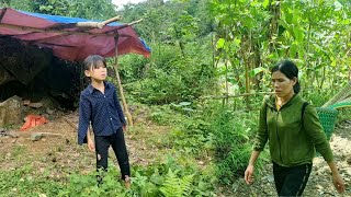 Picking wild vegetables to sell at the market, buying mats and food for the abandoned little girl