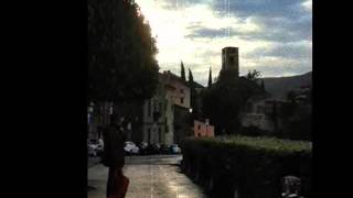 The healing day - Bill Fay