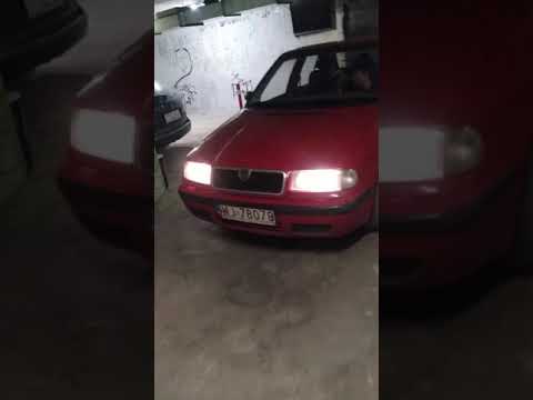 Młody Molly _a$ jazdy #tyłem