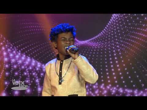 COLLE (Sanih) - TENDRY LA VOIX D'OR 2024