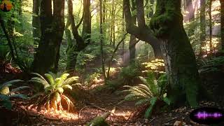 Relaxing Celtic  Dreaming Music with Deep Forest View for Mind and Spirit Balance
