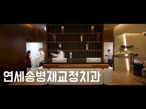 비디오 19