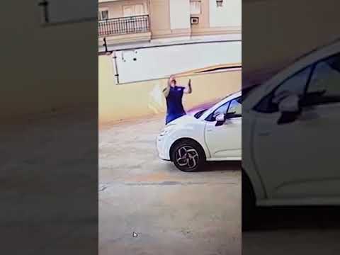 Повезло собачке! Мужчина поймал выпавшую с 9 этажа собаку