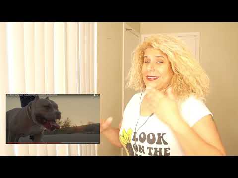 #reactionvideo  EL EJÉRCITO DE UN HOMBRE SOLO  @israelb666  #reacción #bilingual