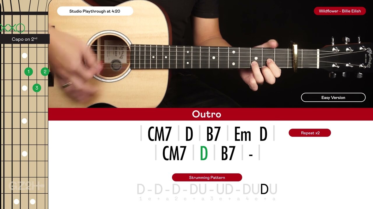 Wildflower Guitar Cover Billie Eilish 🎸|Tabs + Chords|