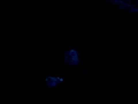 un betiv din brastavatu  (by NaRcIs)