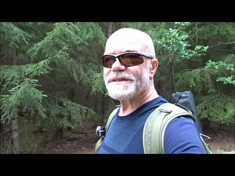 Dneska v lese točit nel[s]e:-):-):-)