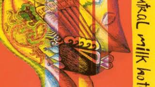 Everything Is - &quot;Tuesday Moon&quot;  |  Neutral Milk Hotel