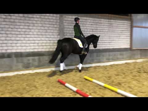 Wallach *2015 Finest x Lancier