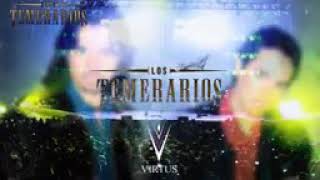 Los Temerarios ( Dejame Soñar )