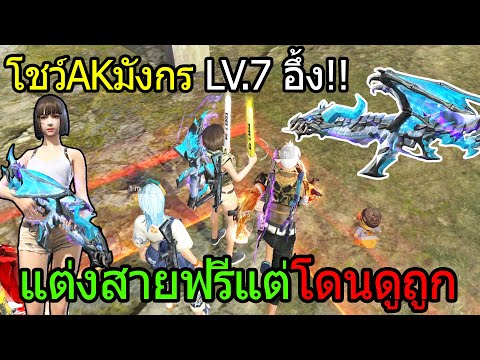 ฟีฟาย