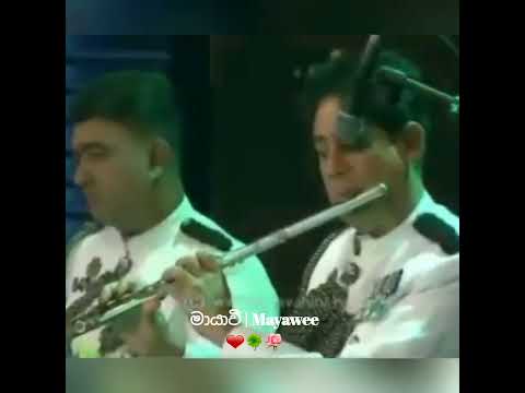 පෙම් කවක් ලියූ නුබ හිත අහසේ | Pem Kawak Liyu Nuba Hith Ahase | Herath Divulgane