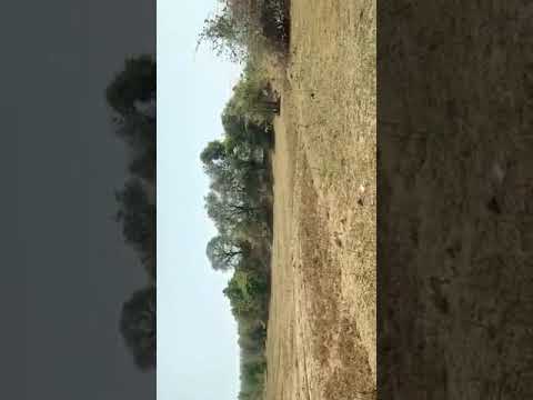 114 Acre Agricultural/Farm Land for Sale in Medipalle, Karimnagar