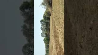  Agricultural Land for Sale in Medipalle, Karimnagar