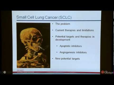SCLC  The Next Frontier in Lung Cancer Therapy by Leena Gandhi, MD, PhD