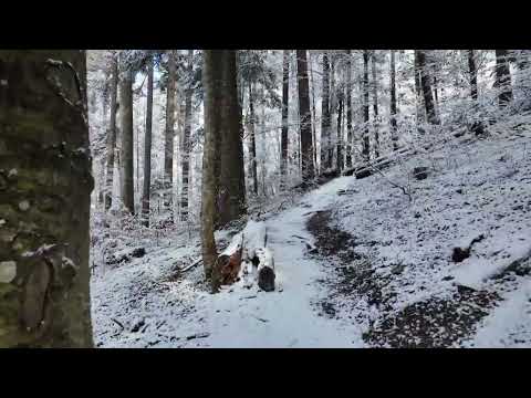 Traseu Montan - Platoul de sub Varful Cerbu Slanic Moldova