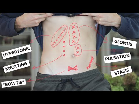 How Chinese Medicine Diagnosis Really Works