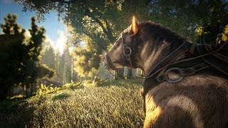 В ARK: Survival Evolved появится процедурная генерация