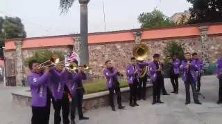 la paloma avanera, el bronco y su banda 2016