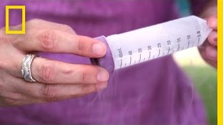 DNA and "Life on Ice"