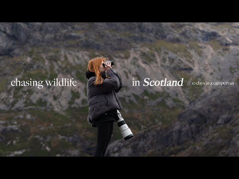 Why I keep returning to photograph Scotland's wildlife