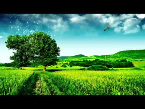 Miikka Leinonen - ill Behaviour (Original Mix) [HD]