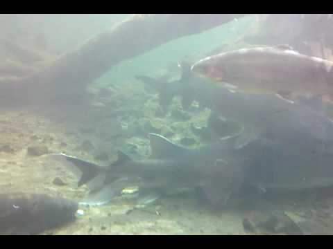 video-2010-03-14-11-16-32